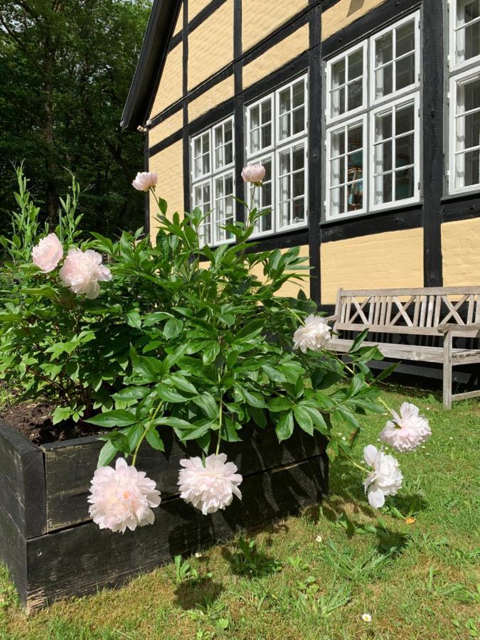 Hotel Egeskoven Viborg Exteriér fotografie